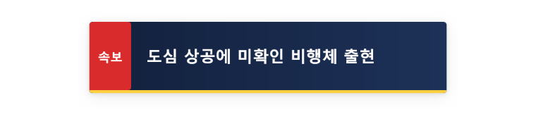속보 뉴스바 애니메이션 프리셋